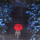 Illustration for article titled iKonohana Kitan/i has quietly morphed into this season’s most beautiful hidden gem